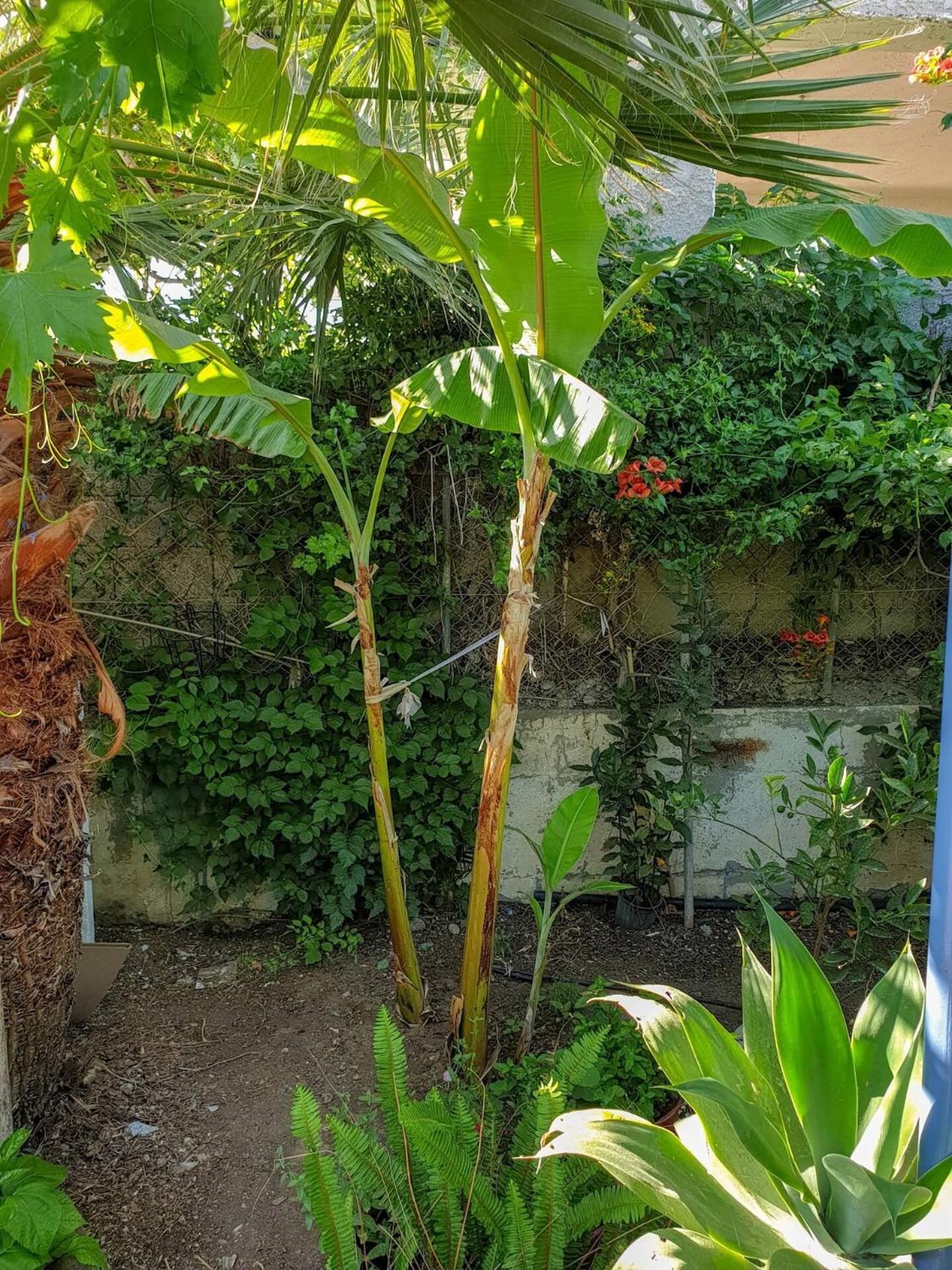 Maria'S House, With Garden Villa Kalamaki  Ngoại thất bức ảnh